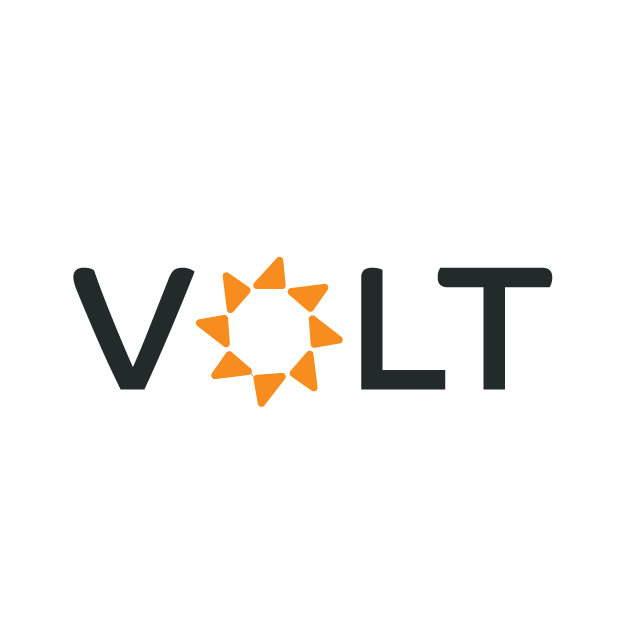 Professional Logo